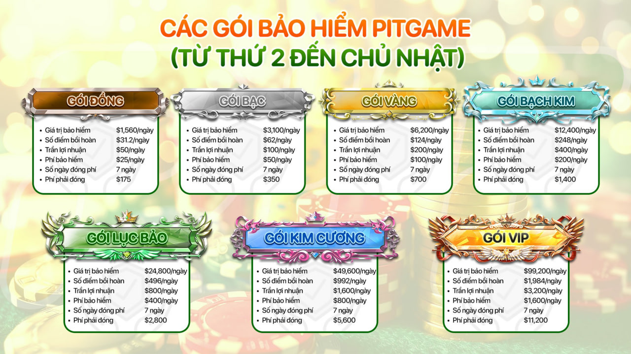 cac goi bao hiem pitgame